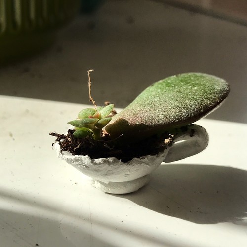 Tiny homemade tea cup - , with