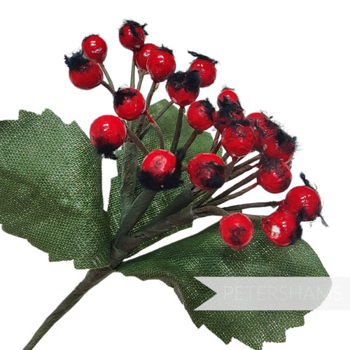 Hawthorn berry eve vintage - hawthorn, 'eve'