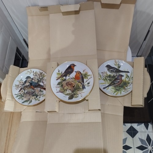 Set alt tirschenreuth wwf - 3,