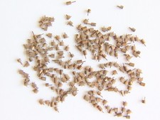 Pocket watch regulator boots, mixed sizes. Parts