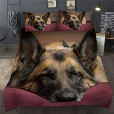 Sleeping German Shepherd Dog