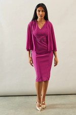 Wallis Womens Berry Pencil