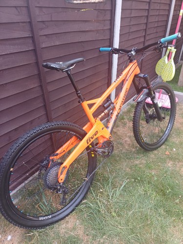 2016 orange five medium - orange,