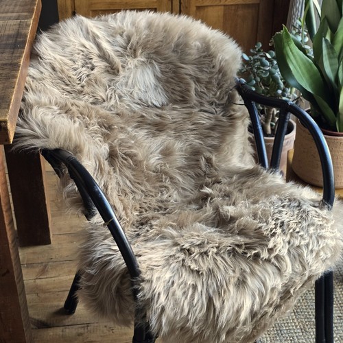 Genuine sheepskin rug - rug, –
