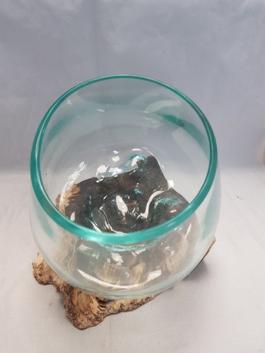 Molten glass bowl wood root - molten,
