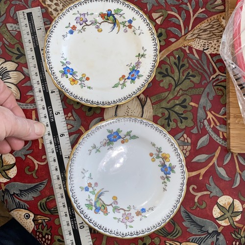 Vintage tuscan china - tuscan, plates