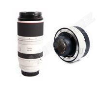 Canon RF 100-500mm f/4.5-7.1 L