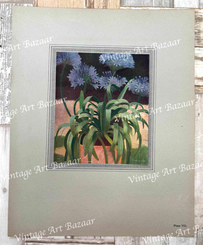 Mark gertler agapanthus - mark,
