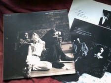 ONE DOVE Morning dove white