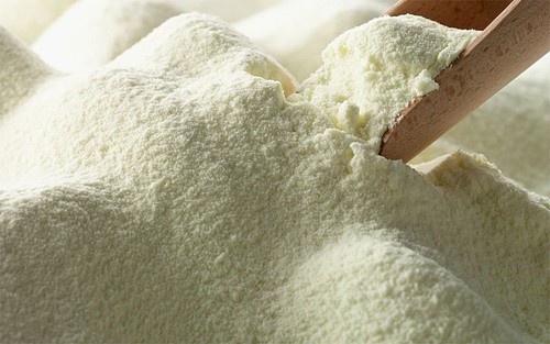 Organic whole milk powder - organic, full