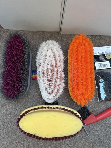 Horse grooming kit brushes - horse,