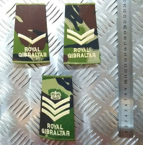 Army rank slide woodland dpm - army,