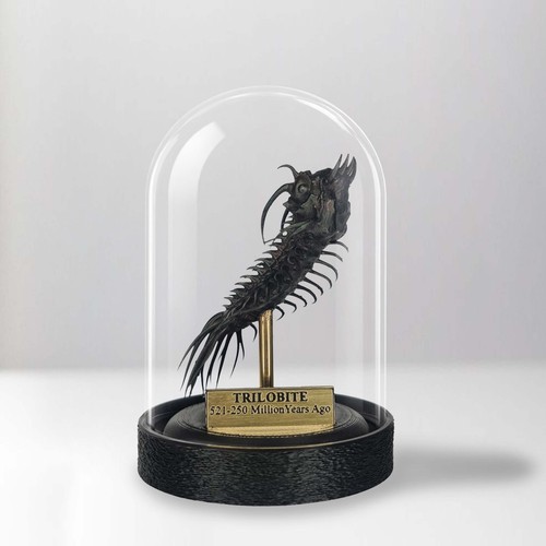 Trilobite fossil bell - trilobite,
