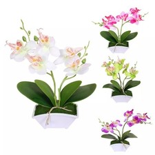 Artificial Phalaenopsis Orchid
