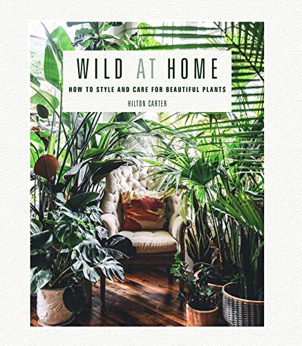 Wild home how style - at, home: