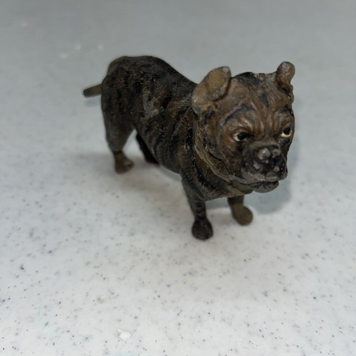 English brindle bulldog german - english,