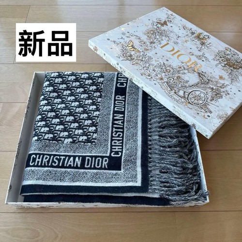 Christian dior oblique - dior,