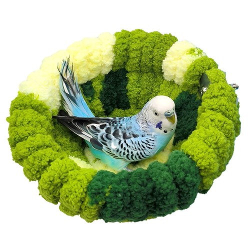 Bird nest small parrot - bird, nest,