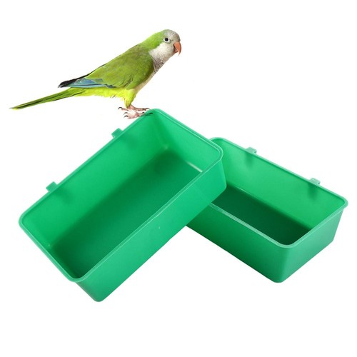Bird food water feeder - bird,