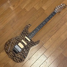 Valley Arts Japan Custom Pro