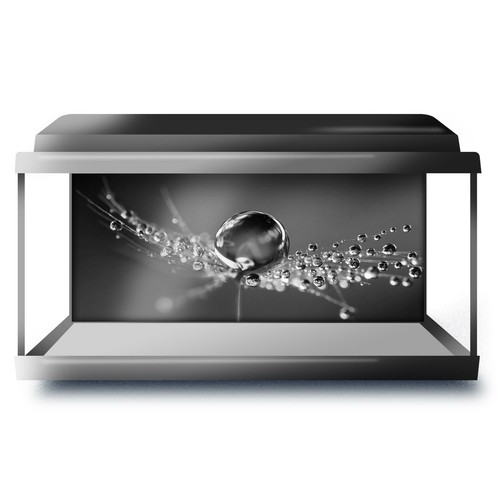 Fish tank background 90x45cm - fish,