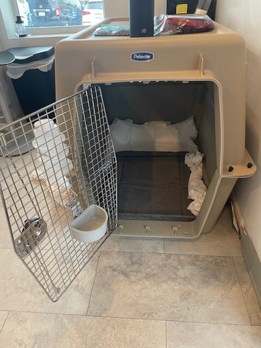 Large sky kennel for - sky,