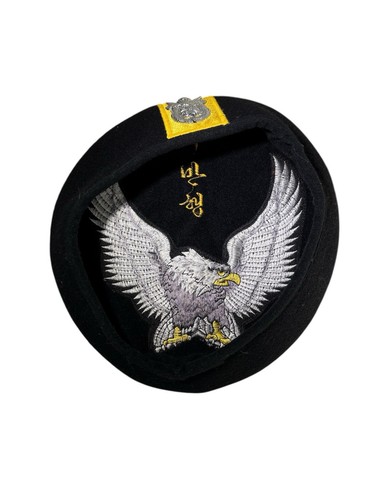 Korean rok 1st special - 1st, forces