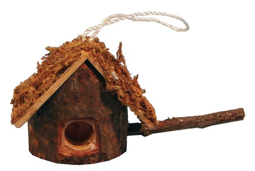 Bird house for - bird, scale