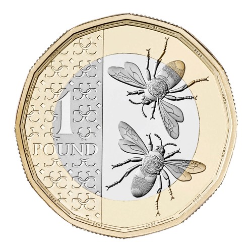 2024 king charles iii bees - bees, £1