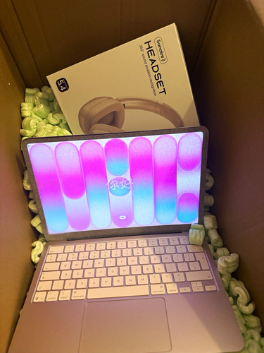 Macbook neo blush - a18, chip