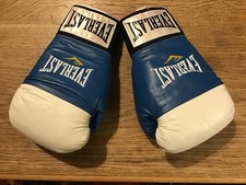 Pair blue white everlast - pair, of