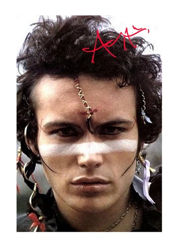 Adam ant printed - printed, a4