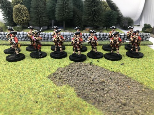 Fiw syw british foot pro - british,
