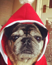 Dog santa suit fleece size Xl