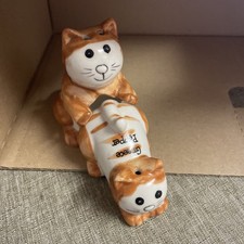 Rude Cats Condiment Salt &