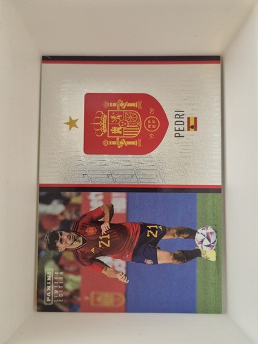 Panini adrenalyn 2024 - adrenalyn,