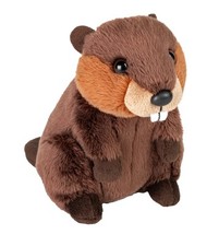 NEW BEAVER WILD REPUBLIC