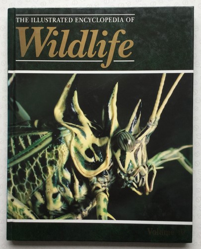 The illustrated encyclopedia - the,