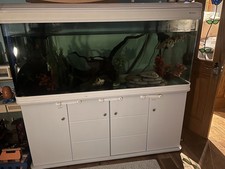 Boyu 5ft Aquarium Fish Tank