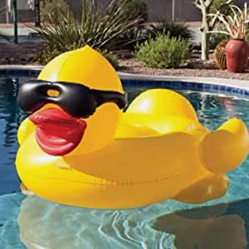 Giant duck inflatable pool - inflatable,