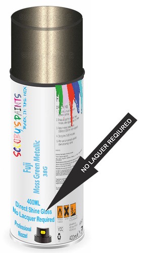 Paint for fuji moss - paint, green
