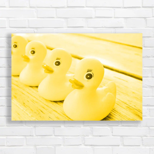 Charming rubber ducks - charming, for