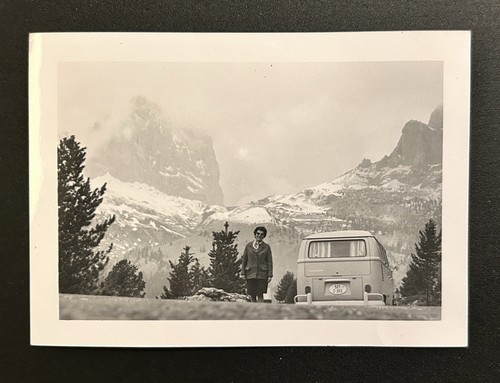 1950s photo type split - photo,