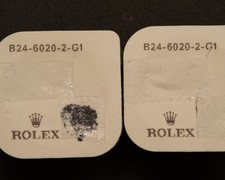 Brand New Rolex B24-6020-2-G1