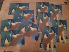 10 x Liverpool's Iconic Yellow