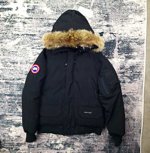Canada goose chilliwack small - goose,