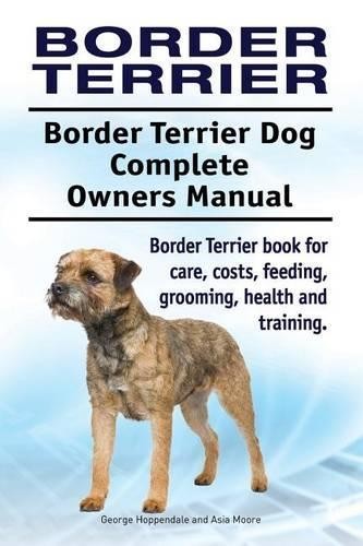 Border terrier - terrier.,