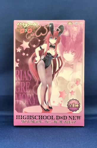 High school dxd rias gremory - school,
