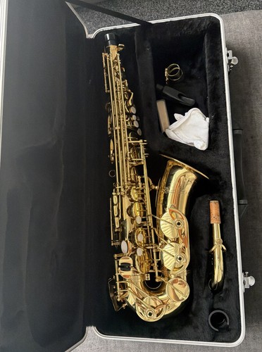 Alto saxophone gold with hard - with,