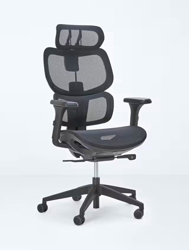 John lewis dawson high - john, back